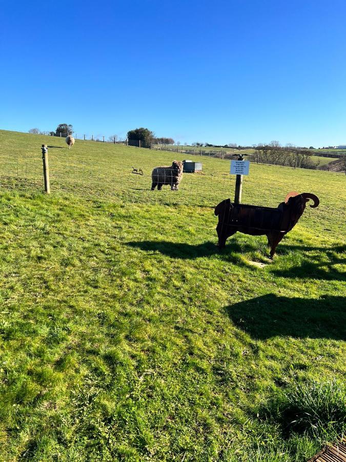 King Richard'S Luxury Lodge - Sleeps Up To 8 ,Dog Friendly ,Near Sherwood Forest At Fairview Farm In Nottingham Set In 88 Acres And Great For Groups,Family Gatherings,Corporate Events Екстер'єр фото